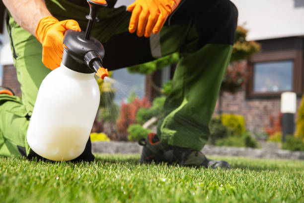 Best Wasp Removal Services  in Hopewell, NJ
