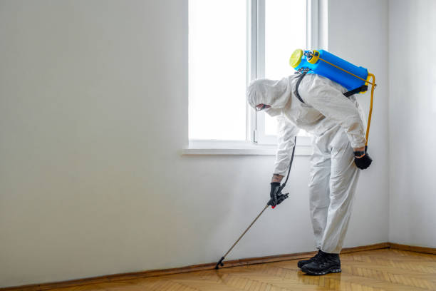 Best Ant Control Services  in Hopewell, NJ