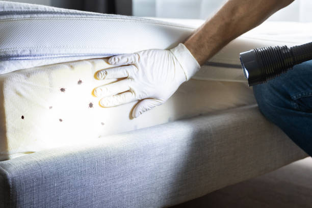 Best Pest Inspection Near Me  in Hopewell, NJ