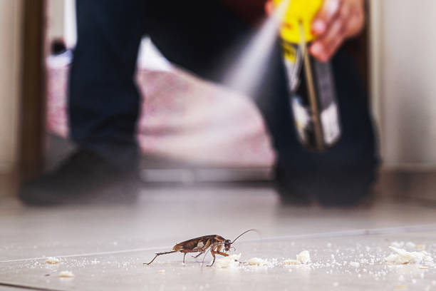 Best Affordable Pest Control Services  in Hopewell, NJ