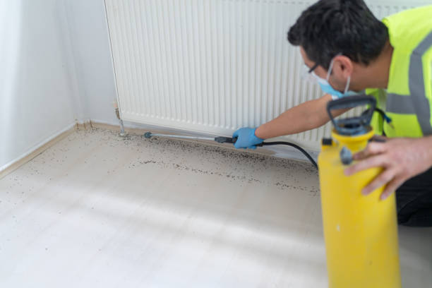 Best Best Pest Control Companies  in Hopewell, NJ