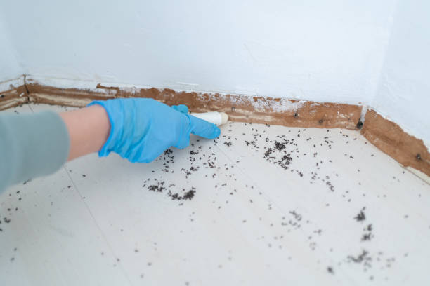 Best Exterminator Services  in Hopewell, NJ